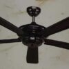 Ceiling Fan Edma Contractor 54inch