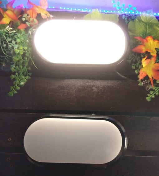 Lampu Dinding Led Bulkhead Lamp 8w Warmwhite