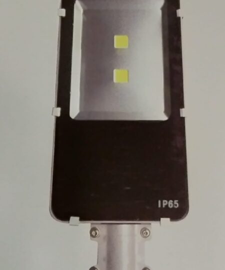Lampu Jalan Led HL8113 2X50W 220V