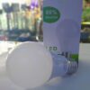 Natural LED Bulb CN-A60 7W Warmwhite